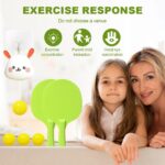 Indoor Hanging Tennis Toy - Image 8